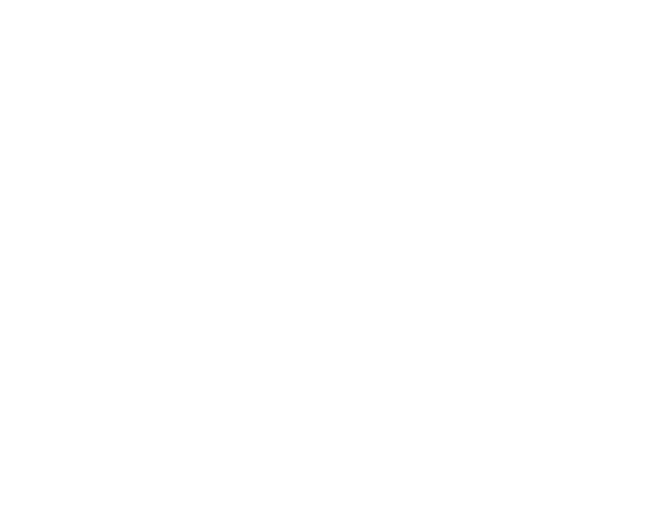 Expertise Best Real - Phoenix Roof Master